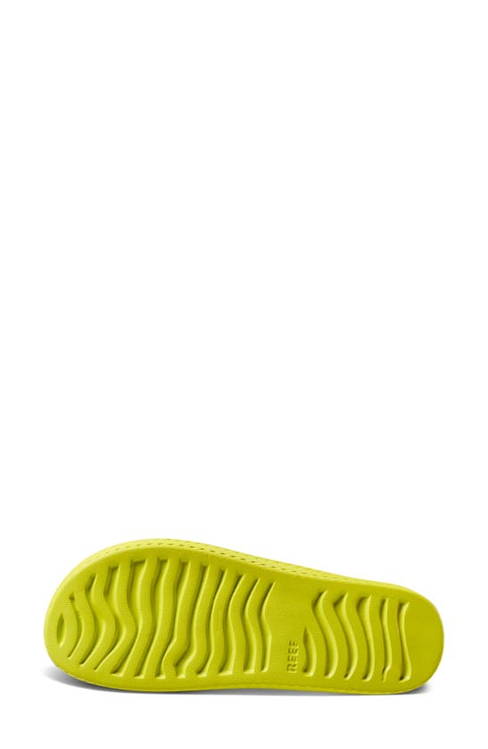 Shop Reef Water Court Flip Flop In Lime