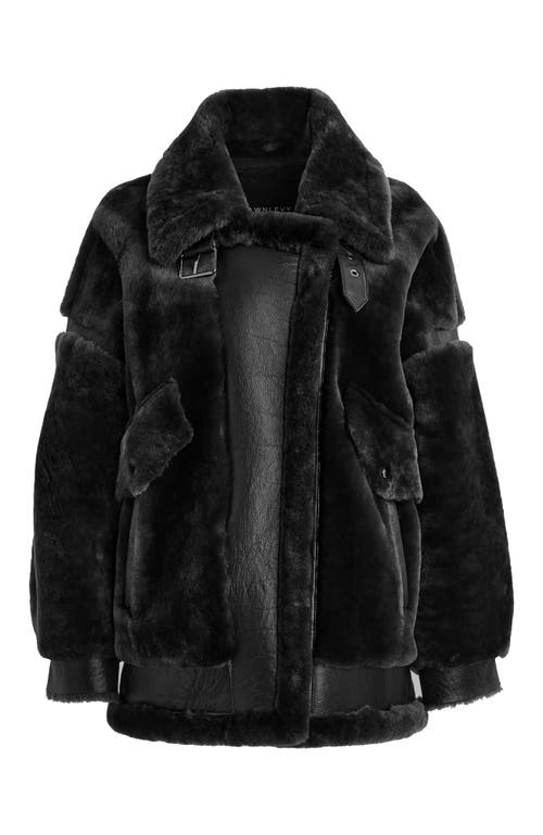 Shop Dawn Levy Sean Coat In Black