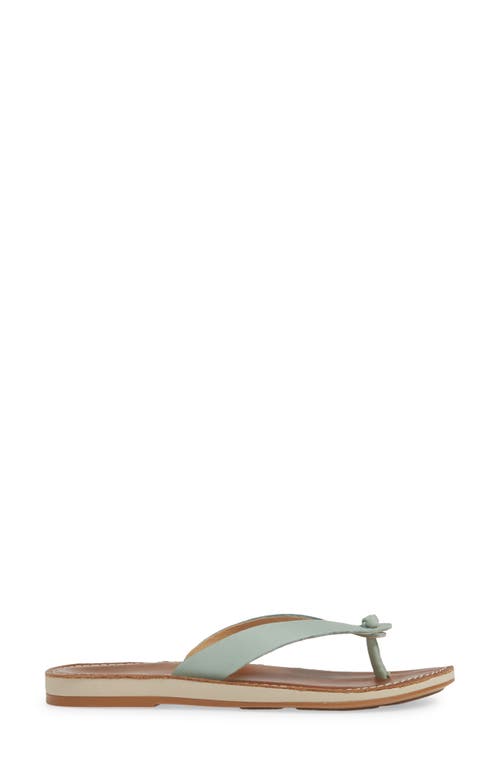 Olukai Nohie Flip Flop In Tide Blue/tan Leather