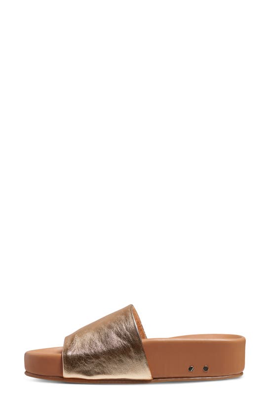 Shop Beek Pelican Slide Sandal In Gold/ Honey