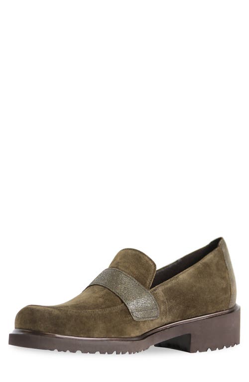 Shop Munro Geena Loafer In Herb Suede