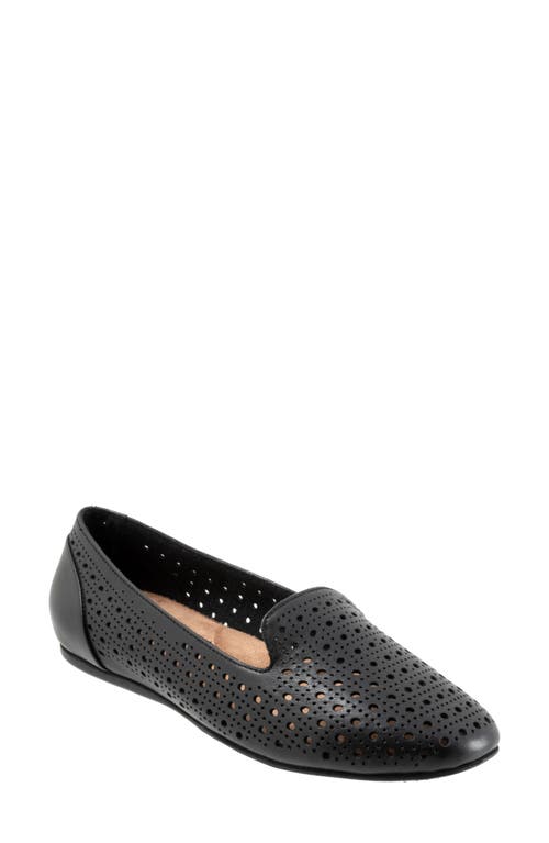 SoftWalk Shelby Perforated Loafer Black at Nordstrom,