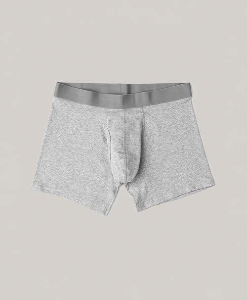 Pact Organic Everyday Boxer Brief 4-pack In Touchdown