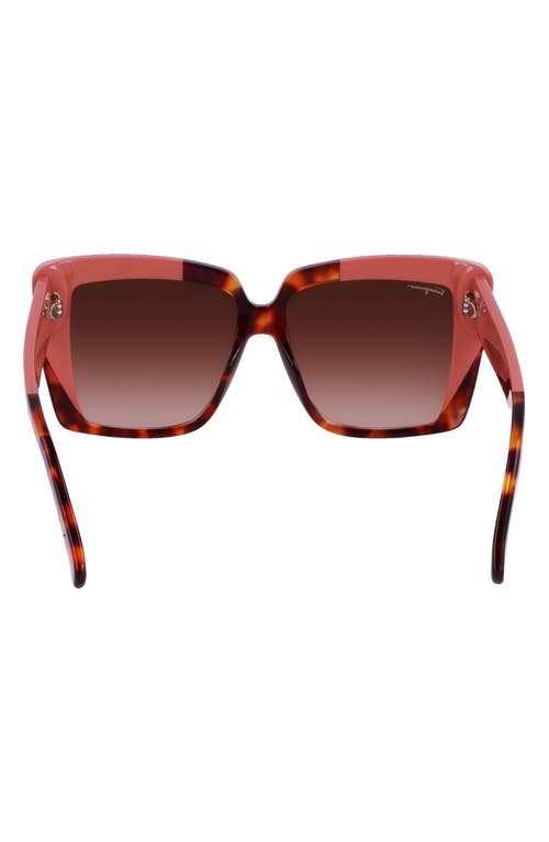 Ferragamo Color-block Square Acetate Sunglasses In Red Tortoise/rose