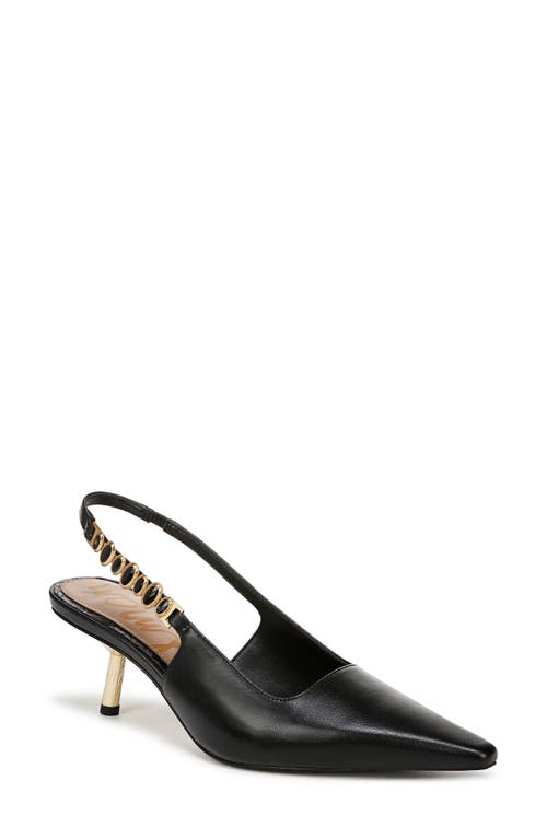 Sam Edelman Baker Pointed Toe Slingback Pump in Black 