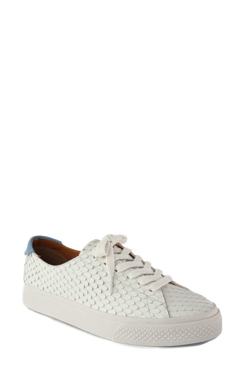 B*O*G COLLECTIVE Miranda Low Top Platform Sneaker in White Leather Snake Print