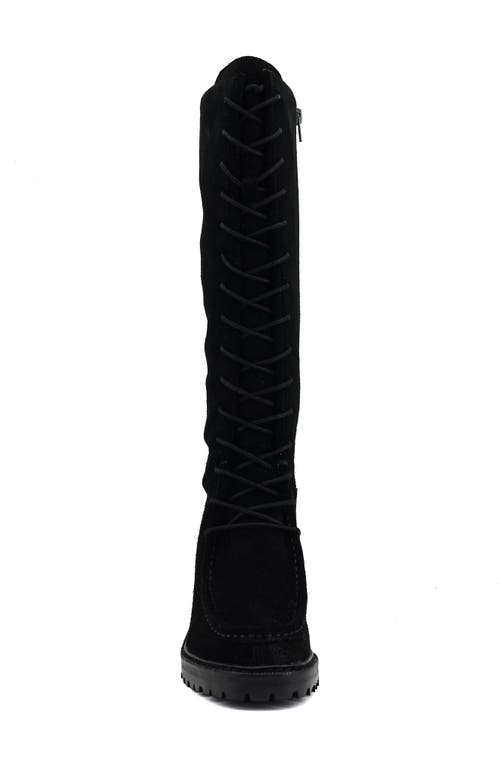 Zigi Artisan Adeline Knee High Boot In Black Suede