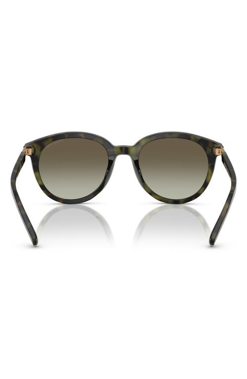 Michael Kors 53mm Round Sunglasses In Jerry Tort
