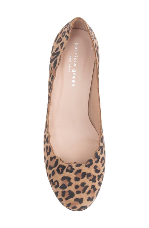 Patricia Green Palm Beach Pump In Leopard Suede
