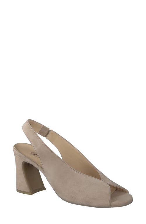 Riviera Slingback Sandal in Champagne Suede