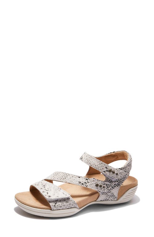 Halsa Footwear Hälsa Footwear Hälsa Denia Ankle Strap Sandal In Beige/silver