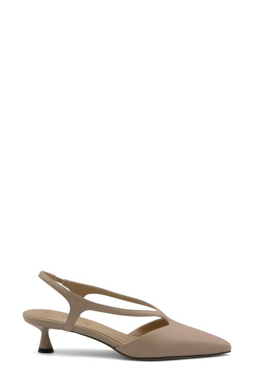Charles By Charles David Addi Pointed Toe Kitten Heel Pump In Rugby Tan