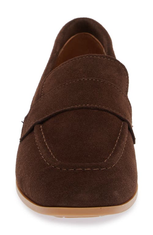 Shop Cordani Ardelle Moc Toe Loafer In T Moro Suede