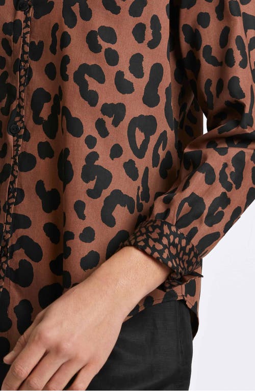 Shop Foxcroft Cheetah Print Shirt In Macchiato/black