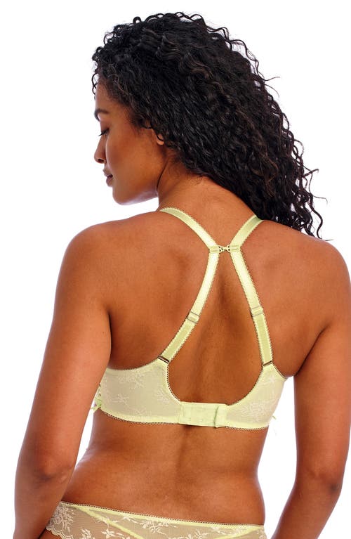 Shop Freya Offbeat Decadence Underwire Side Support Bra In Key Lime (kee)