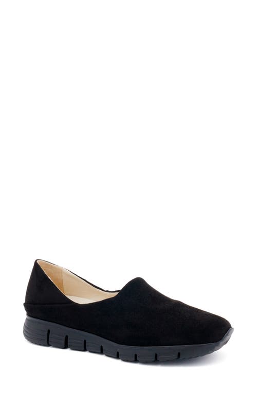 Shop Amalfi By Rangoni Jerry Slip-on Sneaker In Black Pasha