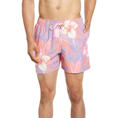 Chubbies The Nectars Swim Trunks, Red