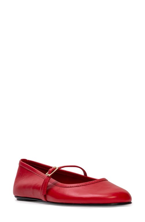 Black Suede Studio Mika Net Mary Jane Ballerina Flats In Racing Red