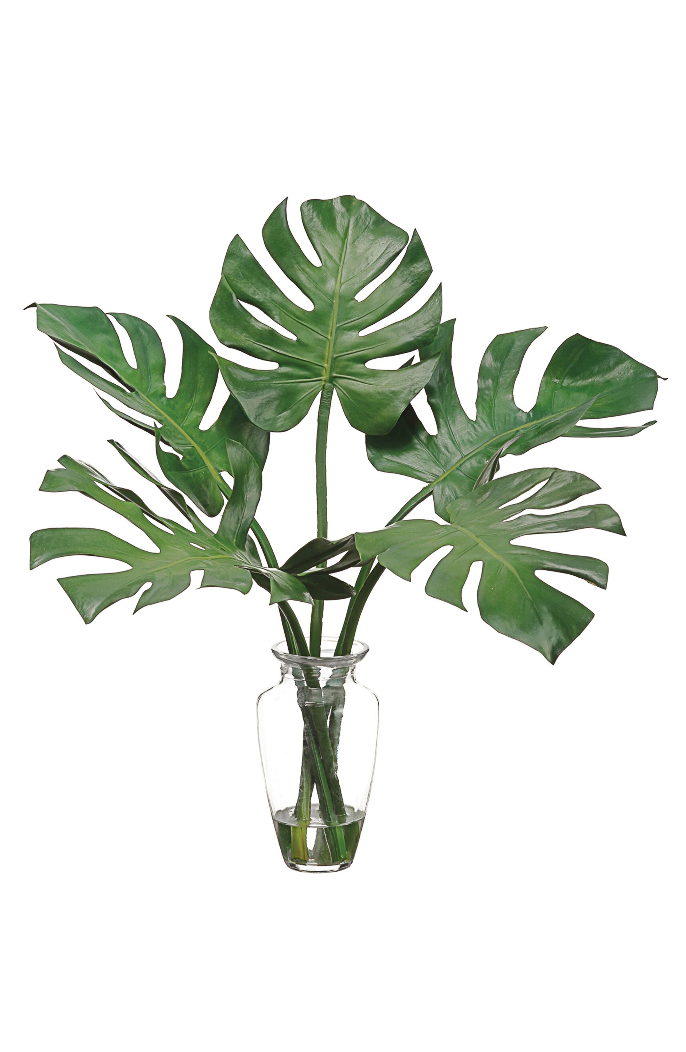 ALLSTATE Faux Monstera Leaves in Glass Vase Nordstrom
