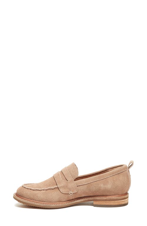 Shop Ruby & Bloom Lens Penny Loafer In Almond Wide