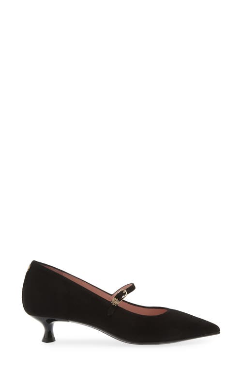 Shop Naot Rosalie Pointed Toe Pump In Black Classic Suede