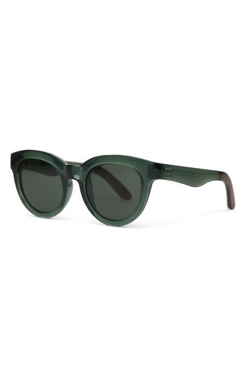 Toms Florentin 52mm Cat Eye Sunglasses In Spruce Crystal/green Grey