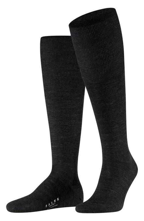 Shop Falke Airport Knee High Socks In Anthracite