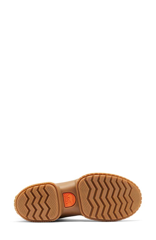 Sorel Ona Ave Lace Boots Velvet Tan/gum 2 In Velvet Tan/gum