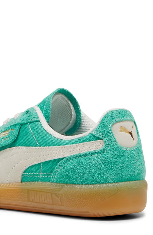 Shop Puma Palermo Sneaker In Jade Frost-frosted Ivory-gum