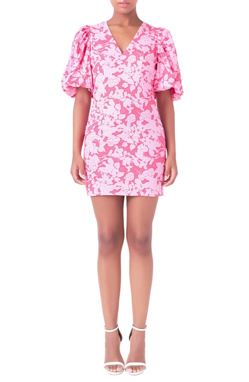 Endless Rose Floral Cotton Minidress In Red/pink