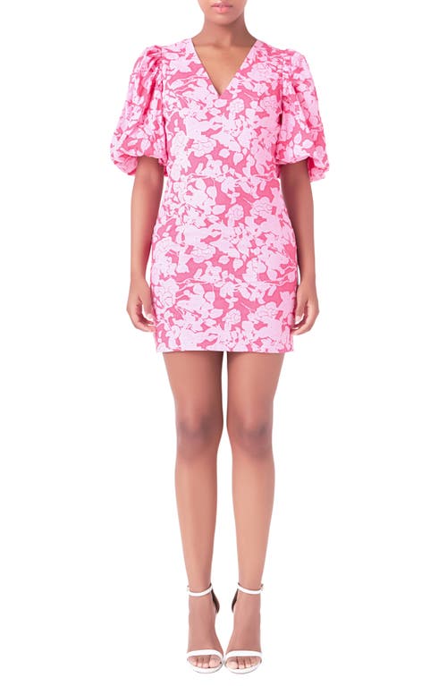 Endless Rose Floral Cotton Minidress Red/Pink at Nordstrom,