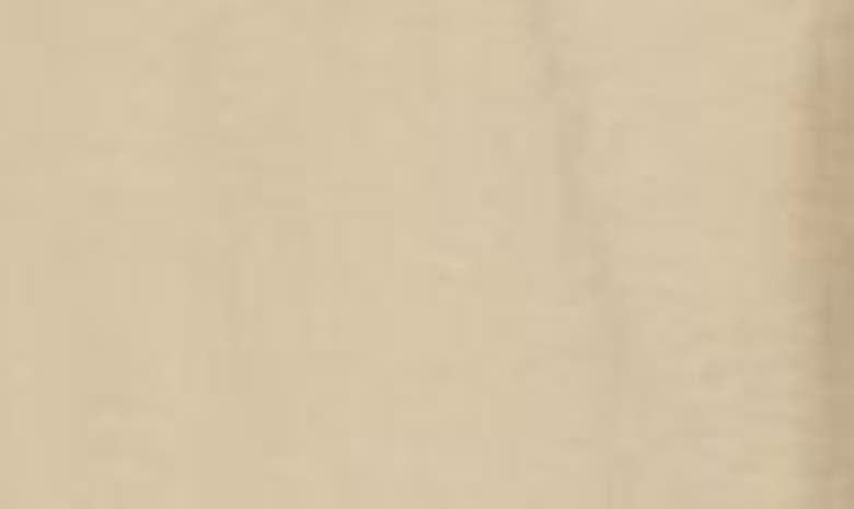 Acne Studios Multipocket Long Skirt Skirts Beige In Beige