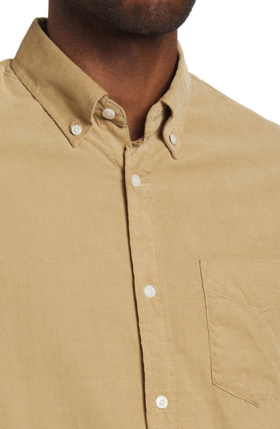 Nn07 Levon 5723 Corduroy Button-down Shirt In Khaki