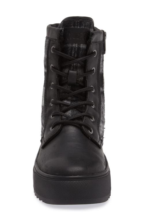 Cougar Apex Lace-up Boot In Black