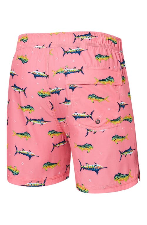 SAXX SAXX OH BUOY STRIPE 2-IN-1 HYBRID SHORTS