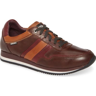 Pikolinos Palermo Sneaker - Brown