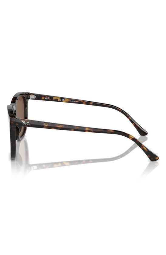 Ray Ban 53mm Polarized Square Sunglasses In Havana