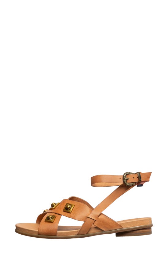 Shop Antelope Reza Stud Sandal In Tan Leather