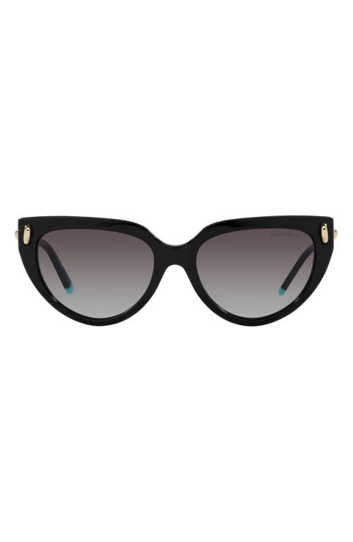 Tiffany & Co. 54mm Gradient Cat Eye Sunglasses in Grey Gradient