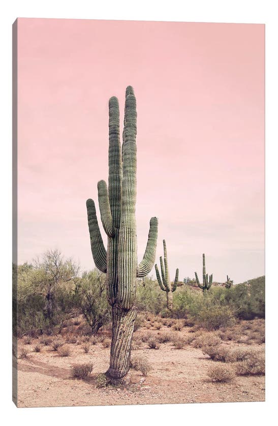 Icanvas Cactus Photography Canvas Print In Multi