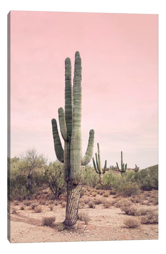 Icanvas Cactus Photography Canvas Print In Pink Multi