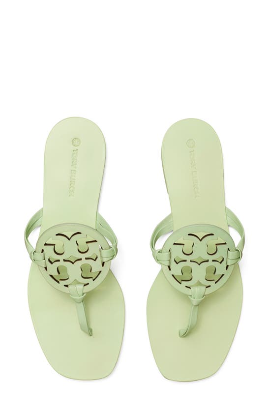 Tory Burch Miller Square Toe Thong Sandal In Meadow Mist