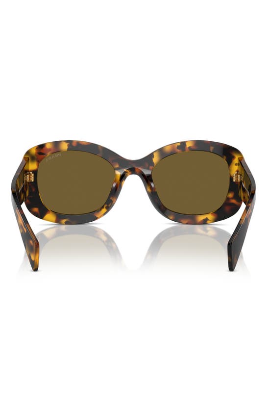 Shop Prada 54mm Oval Polarized Sunglasses In Dark Brown
