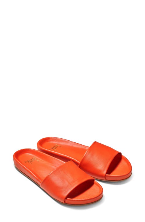 Beek Gallito Leather Slide Sandal in Tangerine