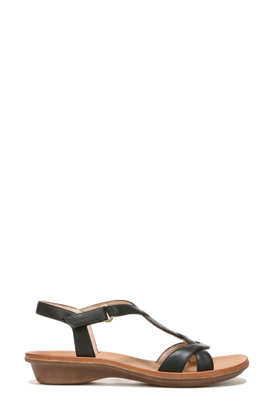 Natural Soul Solo Ankle Strap Sandal In Black Synthetic