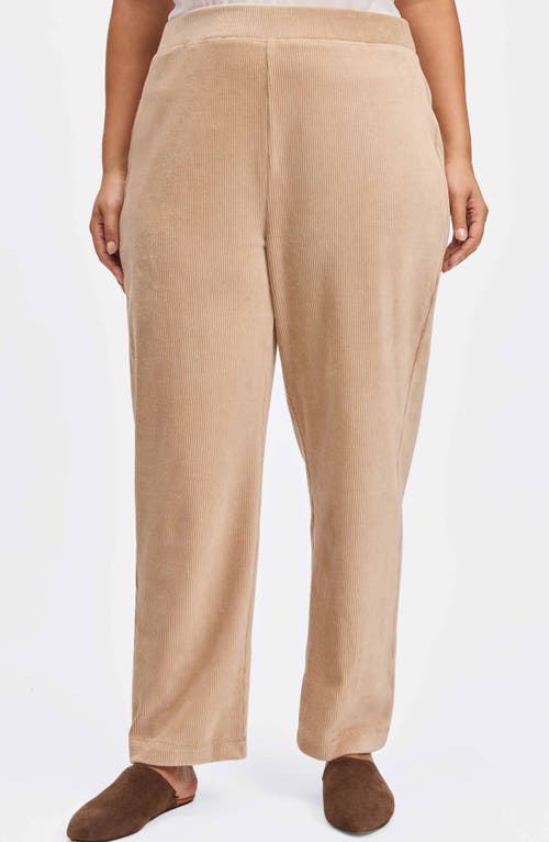 Foxcroft Caden Plush Corduroy Pants In Khaki