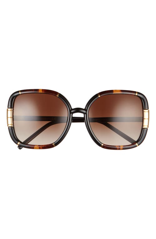 UPC 725125381345 product image for Tory Burch 57mm Square Sunglasses in Dark Tortoise at Nordstrom | upcitemdb.com