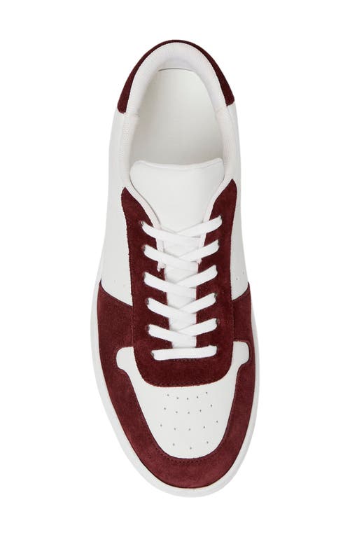 Shop Paige Remy Sneaker In Burgundy/white