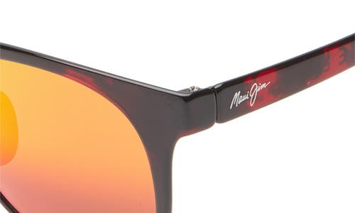 Maui Jim 49mm Polarized Round Sunglasses In Red Tortoise Red Tortoise Lava