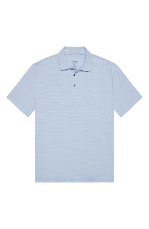 Hypernatural Pinehurst Classic Fit Cotton Blend Golf Polo In Blue Jay/white
